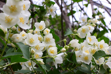 Similar image 2846035