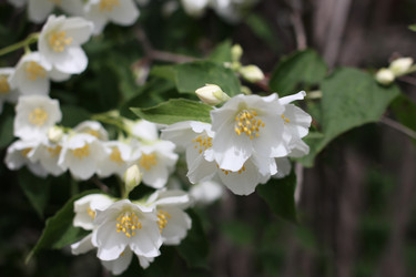 Similar image 2846036