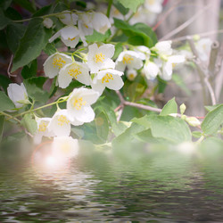 Similar image 2846037