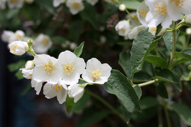 Similar image 2846038