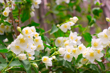 Similar image 2846039