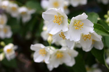 Similar image 2846040