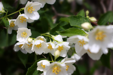 Similar image 2846041