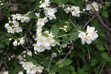 Similar image 2846043