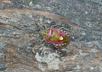 Similar image 2846075