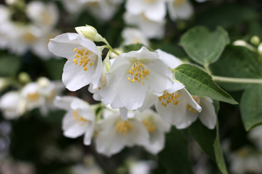 Similar image 2846102