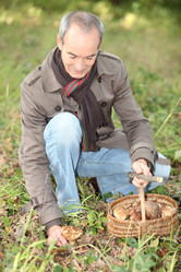 Similar image 2846122