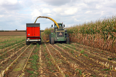 Similar image 2846218