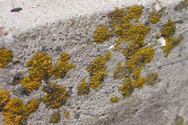 Similar image 2846294