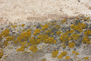 Similar image 2846296