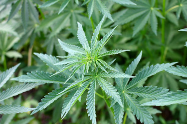 Similar image 2846457