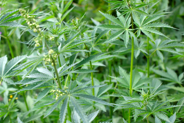 Similar image 2846460