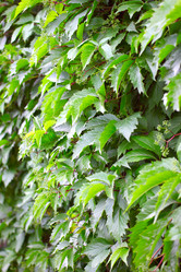 Similar image 2846695