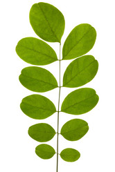 Similar image 2846704