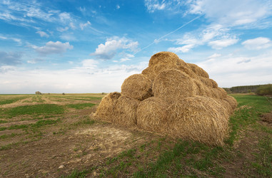 Similar image 2846705