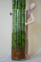 Similar image 2847292