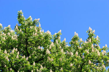 Similar image 2847449