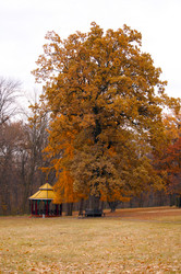 Similar image 2847543