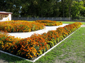 Similar image 2847565