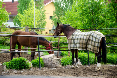 Similar image 2847572