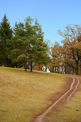 Similar image 2847583