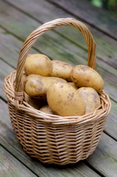 Similar image 2847591