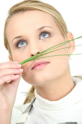 Similar image 2847667