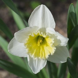 Similar image 2847798