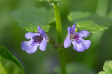 Similar image 2847799