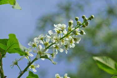 Similar image 2847800