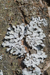 Similar image 2847801