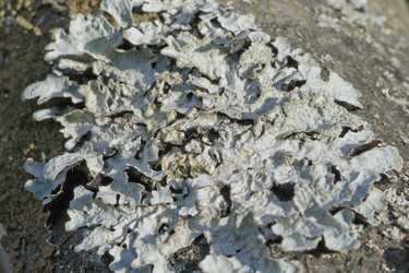 Similar image 2847803