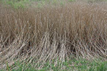 Similar image 2847812