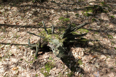 Similar image 2847813