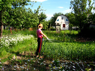 Similar image 2847816