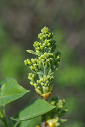 Similar image 2847822