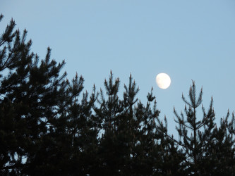 Similar image 2847830