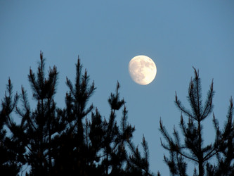 Similar image 2847831