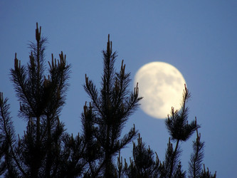 Similar image 2847832