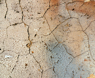 Similar image 2847838