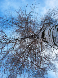 Similar image 2847841