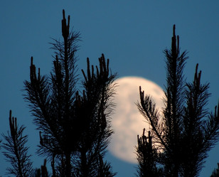 Similar image 2847863