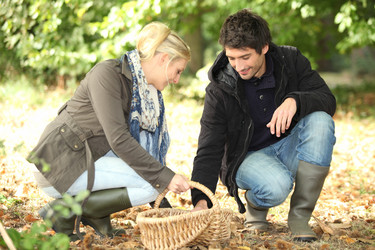 Similar image 2847998