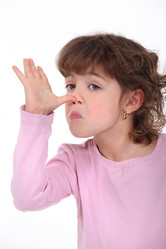 Similar image 2848042