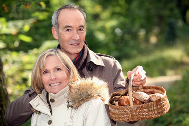 Similar image 2848451