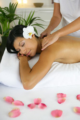 Similar image 2848669