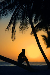 Similar image 2849490