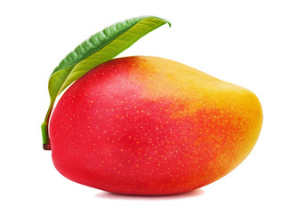 Similar image 2849521