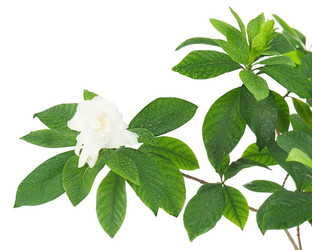 Similar image 2849617