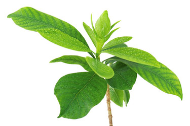 Similar image 2849618